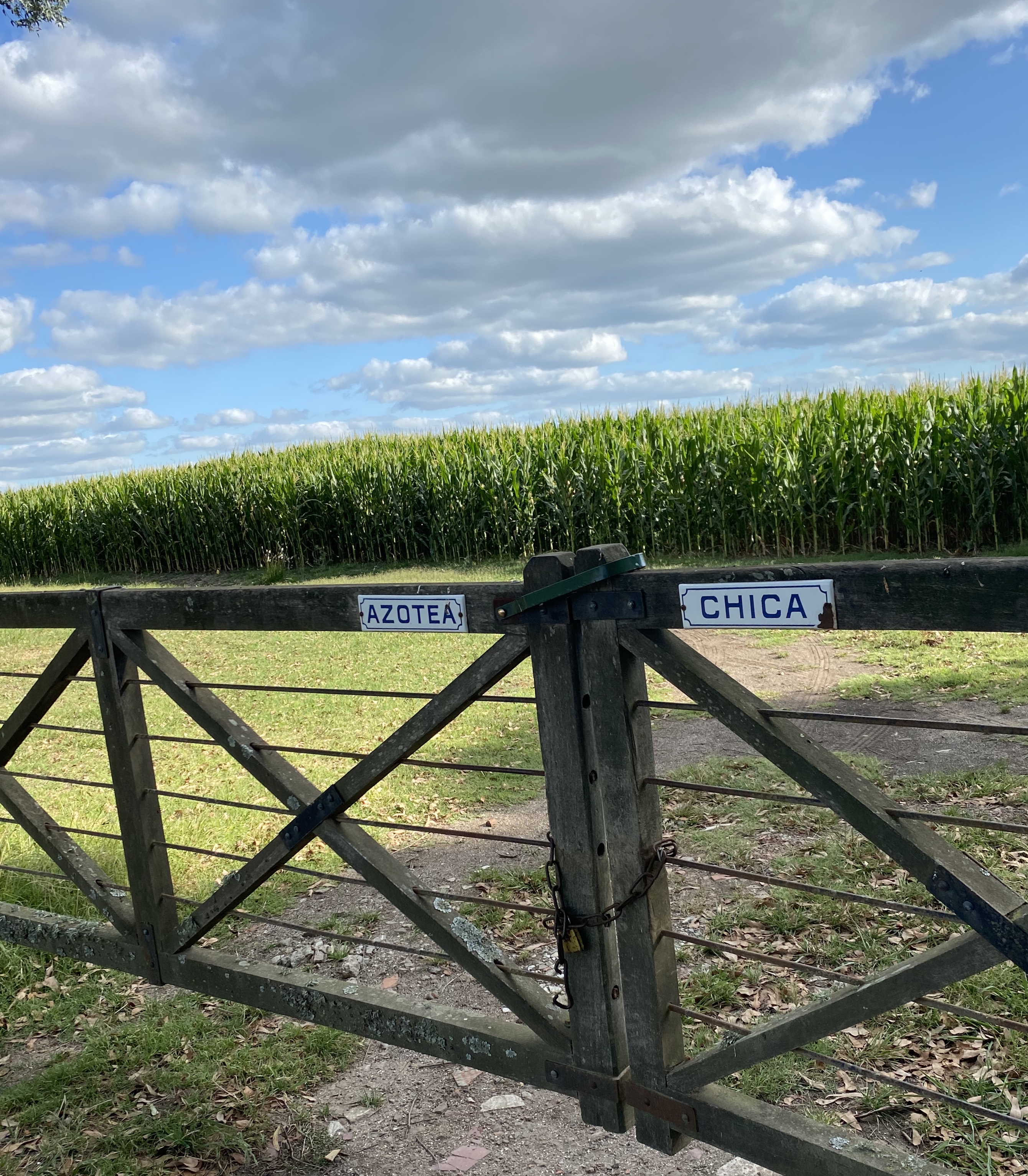 Tranquera de entrada — Azotea Chica